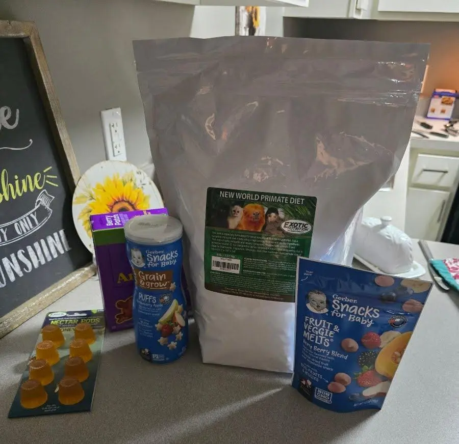 Toyger cat food