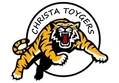 Toyger Cat For Sale