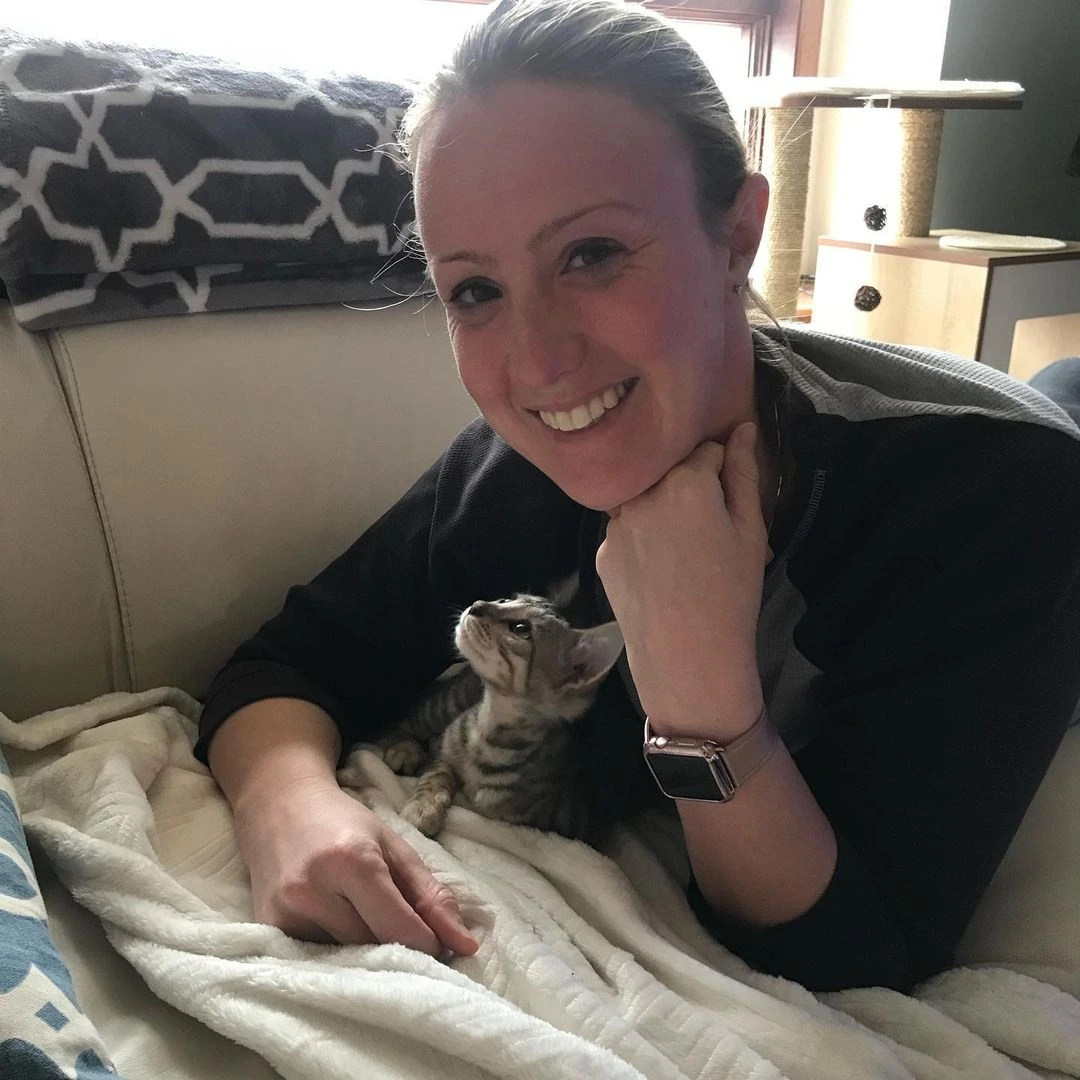 toyger kittens for sale missouri
