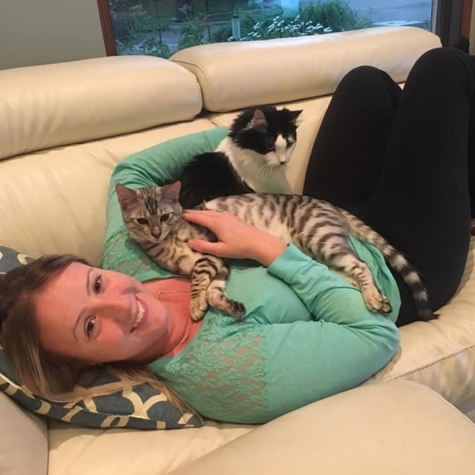 are toyger cats good pets