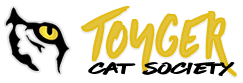 Toyger cats